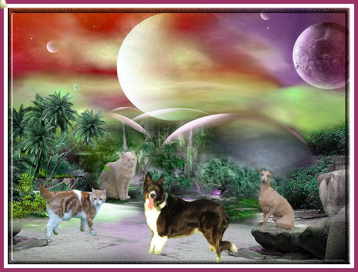 pour vos commentaires vos superbes cadeau et votre amiti� un grand merci a vous tous