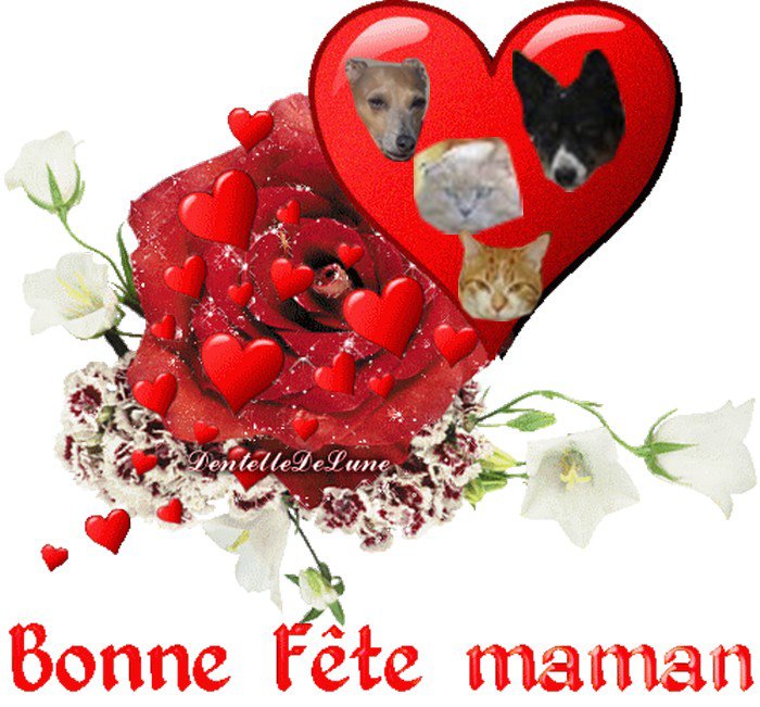 une bonne fete a toutes les mamans